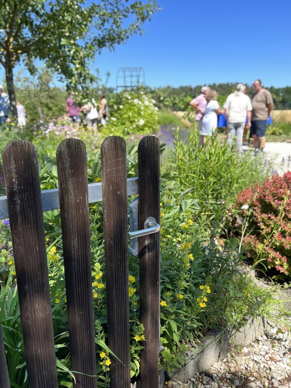 Das Bild zeigt eine offene Gartentür.